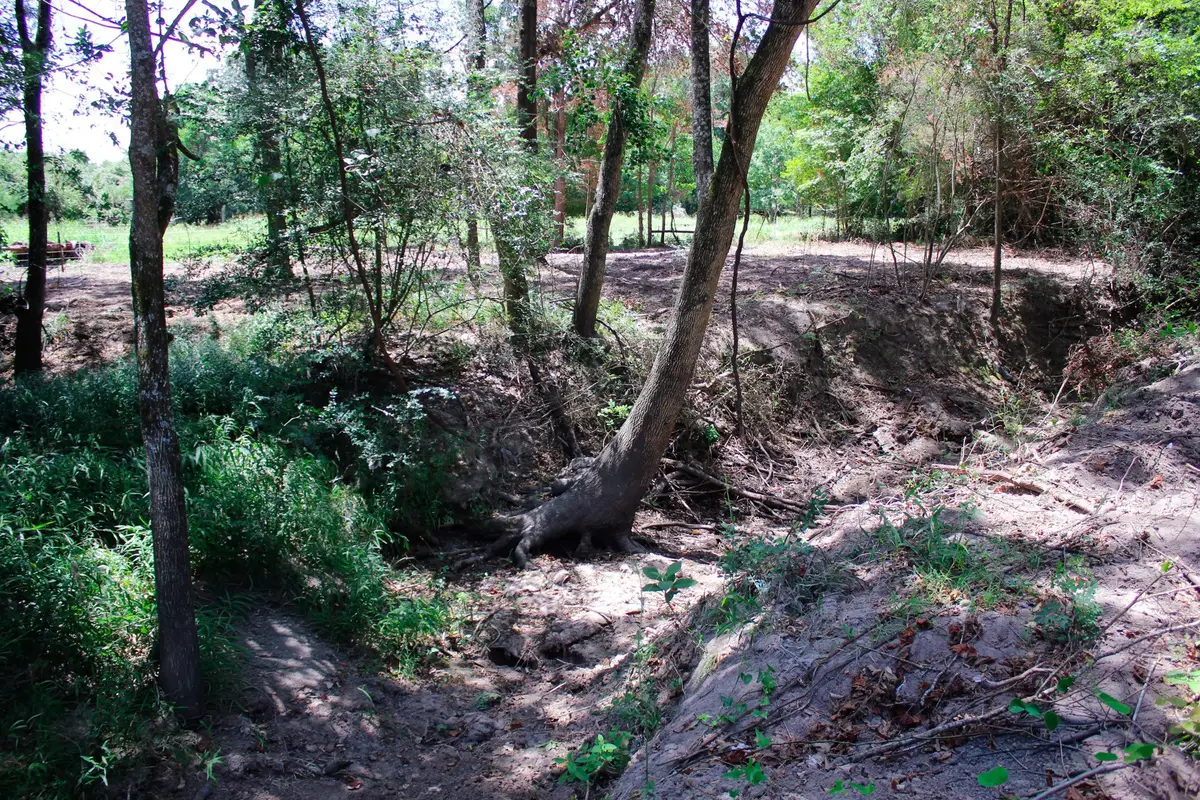 13 +/- Acres Greenbriar Road, Madisonville, TX 77864 - #1