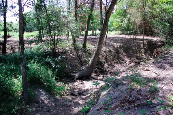 13 +/- Acres Greenbriar Road, Madisonville, TX 77864