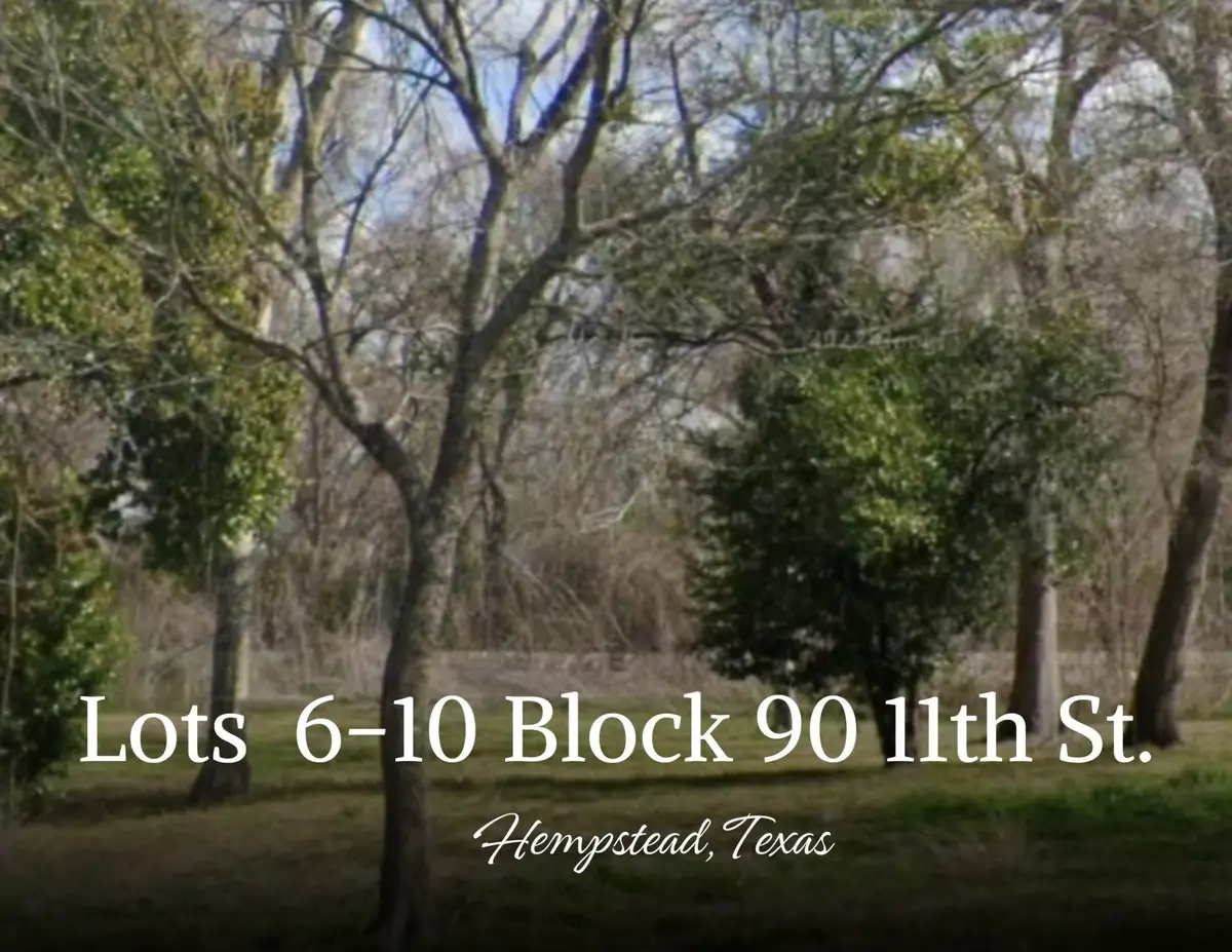 Lots 6,7,8,9,10 Block 90 Located On 11th Street, Hempstead, TX 77445 - Image #1