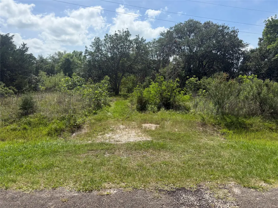0 Hall Street, Anahuac, TX 77514 - #2