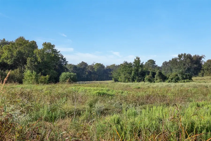 Lot 2 Brown College Lane, Washington, TX 77880 - Image #3