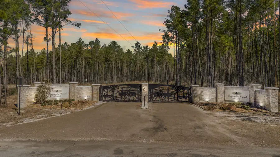 0413 Wells Landing Rd Road, Onalaska, TX 77360 - Image #2