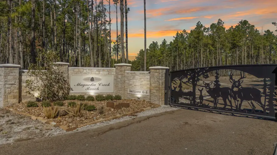 0413 Wells Landing Rd Road, Onalaska, TX 77360 - Image #3