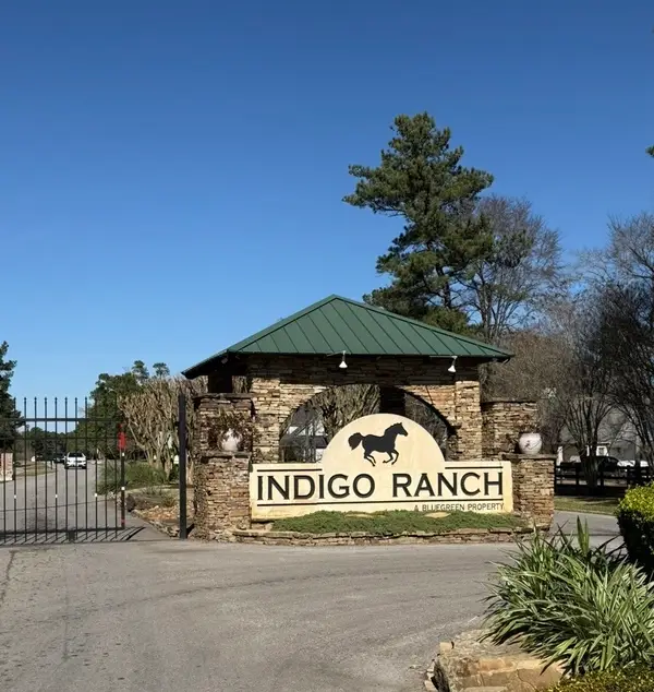 272303 Hitching Post Court, Magnolia, TX 77355