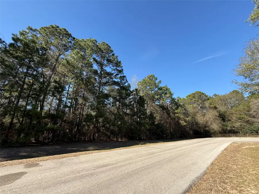 272303 Hitching Post Court, Magnolia, TX 77355 - Image #2