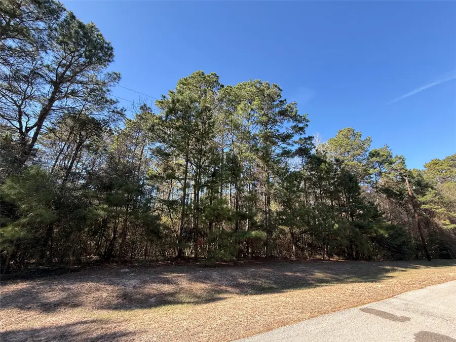 272303 Hitching Post Court, Magnolia, TX 77355 - Image #3