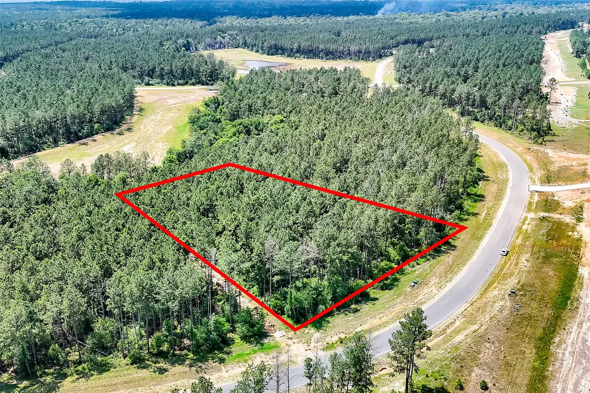 15469 Forest Grove Drive, Willis, TX 77378 - #1