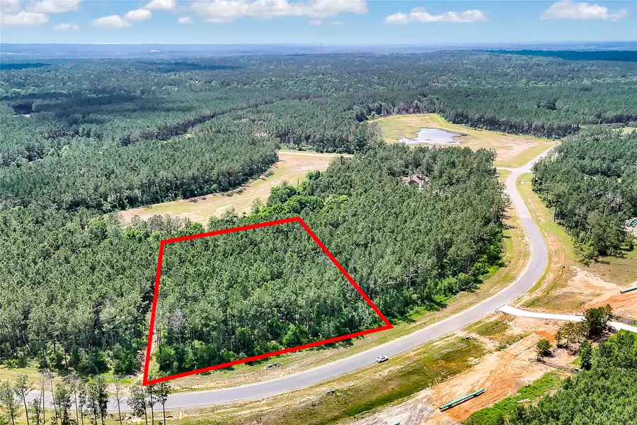 15469 Forest Grove Drive, Willis, TX 77378 - #2