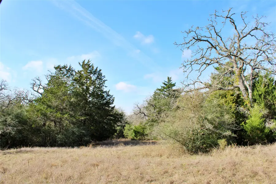 Parcel 5 Lobo Lane, Columbus, TX 78934 - Image #2