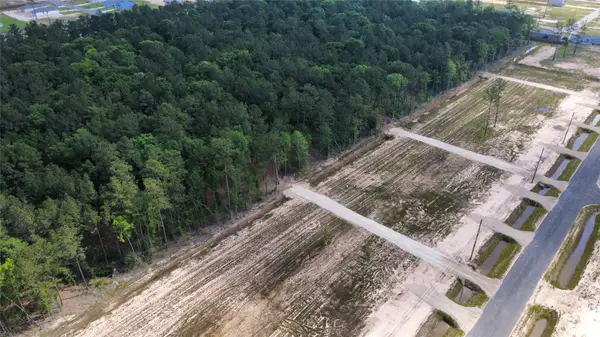 18341 Bunsen Drive, Conroe, TX 77306