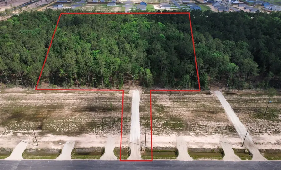 18341 Bunsen Drive, Conroe, TX 77306 - #3