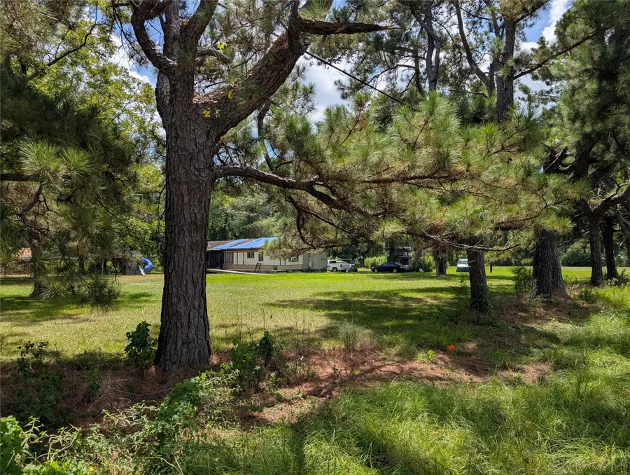 20265 Willaby Road, New Caney, TX 77357 - #3