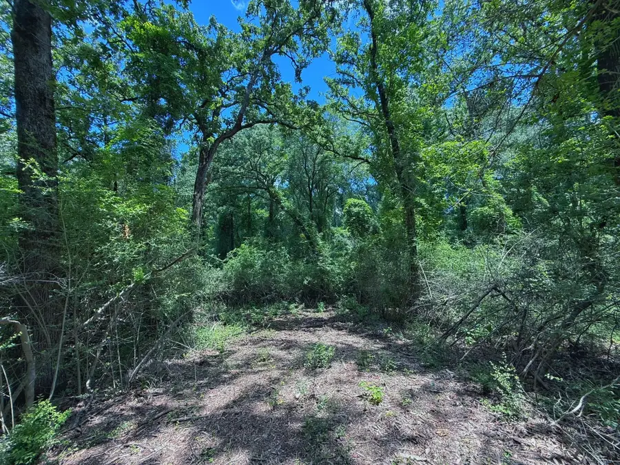 TBD Cr 296, Oakwood, TX 75855 - #2