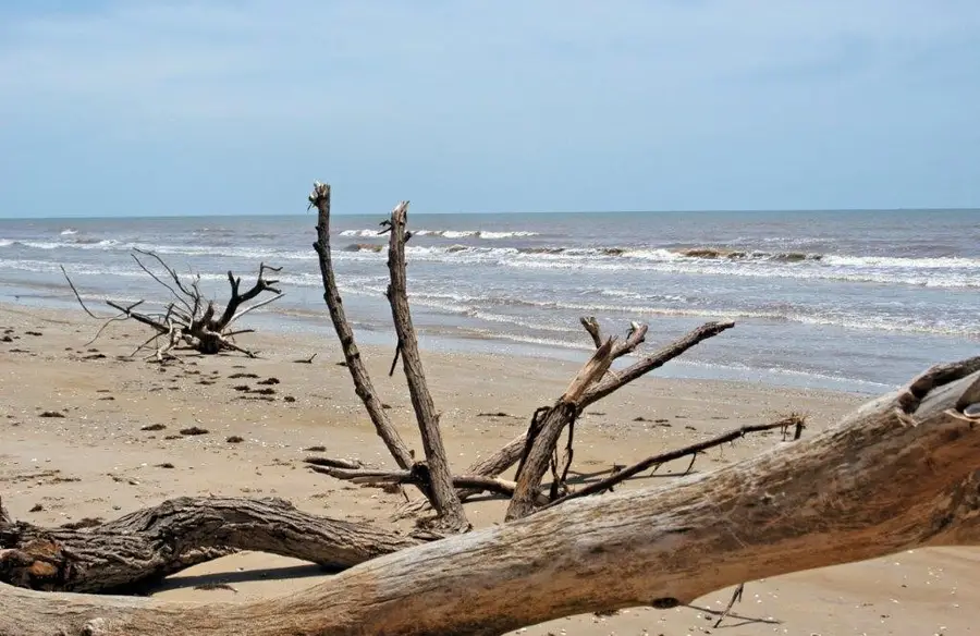 2214 Canal Drive, Sargent, TX 77414 - Image #3