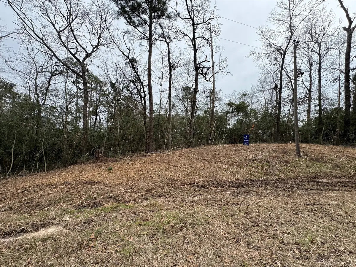 LOT 69 Wildwood Harbor Circle, Onalaska, TX 77360 - Image #1