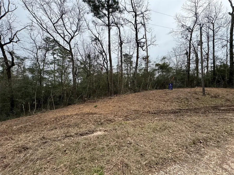 LOT 69 Wildwood Harbor Circle, Onalaska, TX 77360 - Image #2
