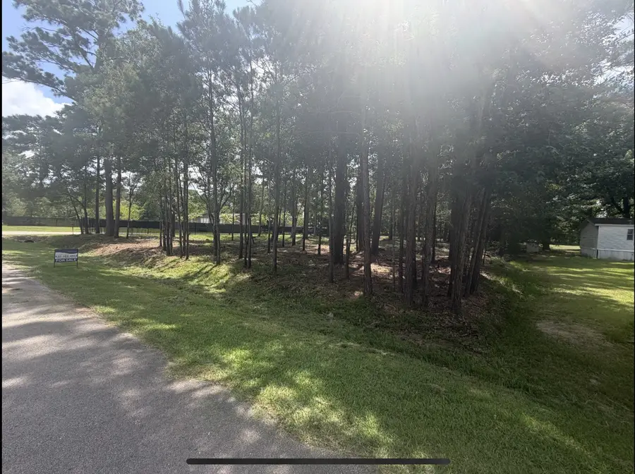 0 Bear Branch, Magnolia, TX 77354 - #2
