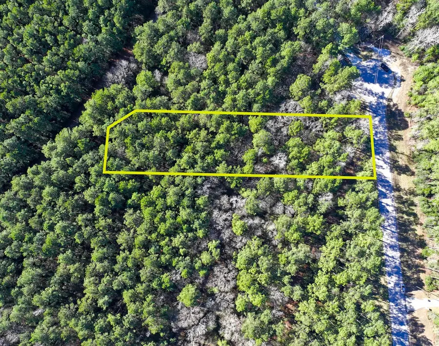 47 Copperleaf Rd, Huntsville, TX 77340 - Image #3