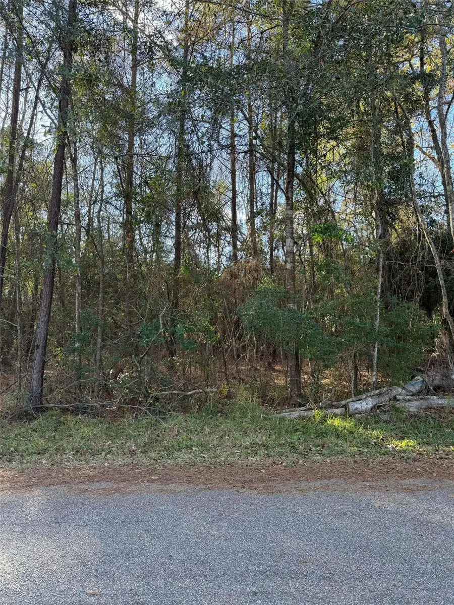 15753 Aspen Drive, Montgomery, TX 77356 - #2