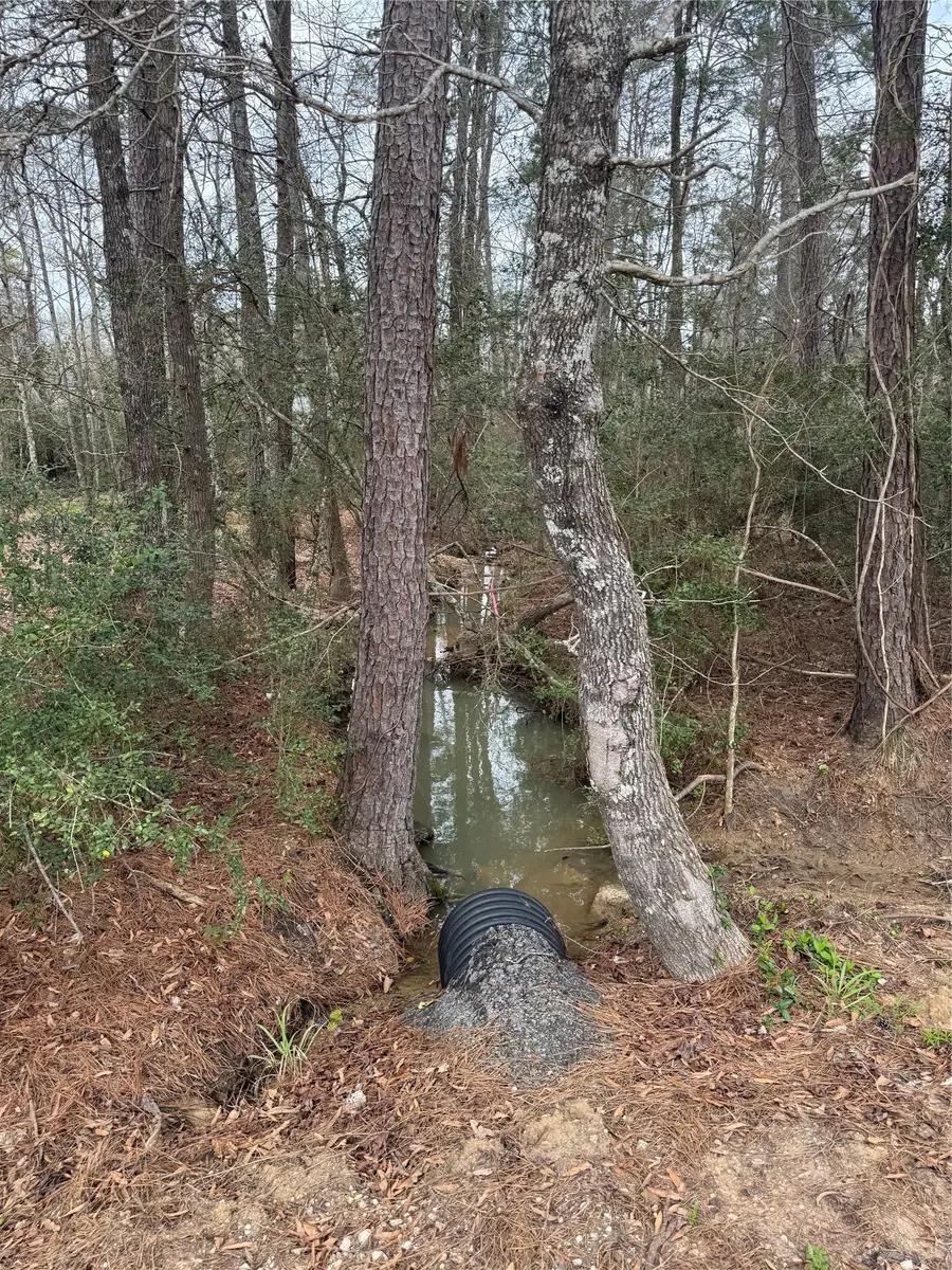 14871 Fannin Rd, Willis, TX 77378 - #2