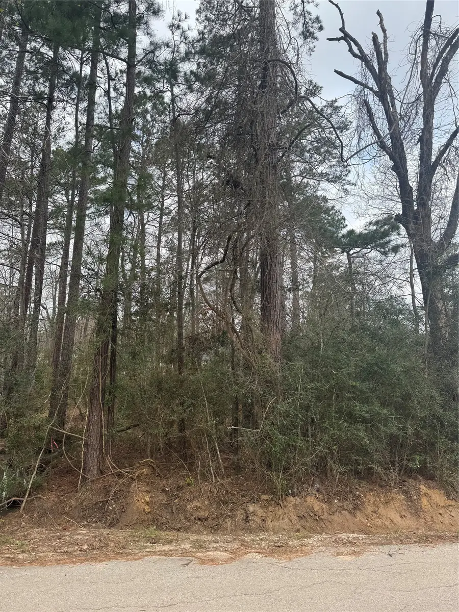 14871 Fannin Rd, Willis, TX 77378 - #3