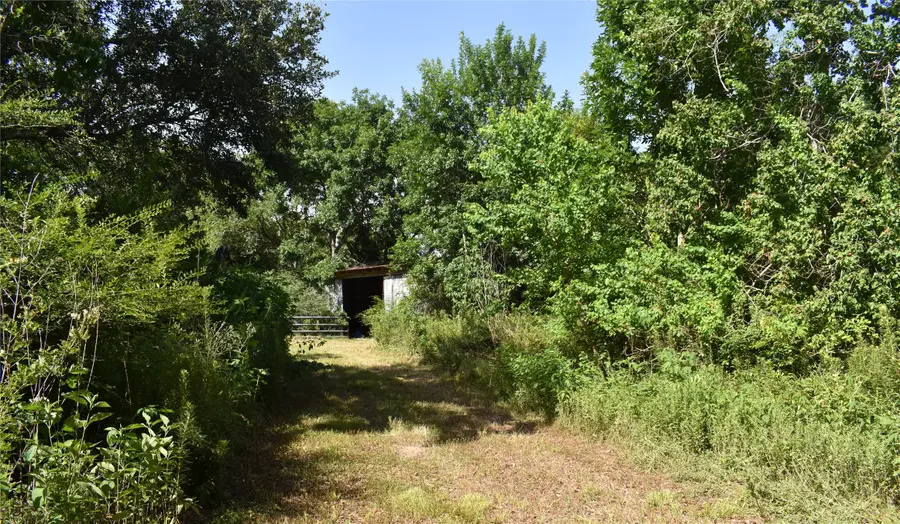 3511 Old Massey Ranch Road, Manvel, TX 77578 - Image #2