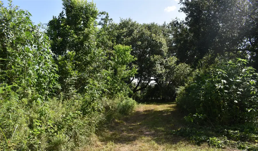 3511 Old Massey Ranch Road, Manvel, TX 77578 - Image #3