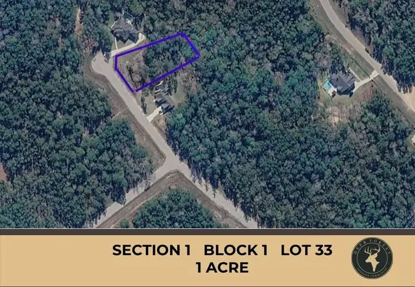 147 Eagle Run Road, Willis, TX 77378