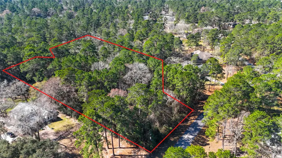 26211 Penguin Street, Magnolia, TX 77355 - #2