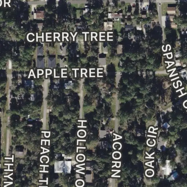 000 Apple Tree, Livingston, TX 77351