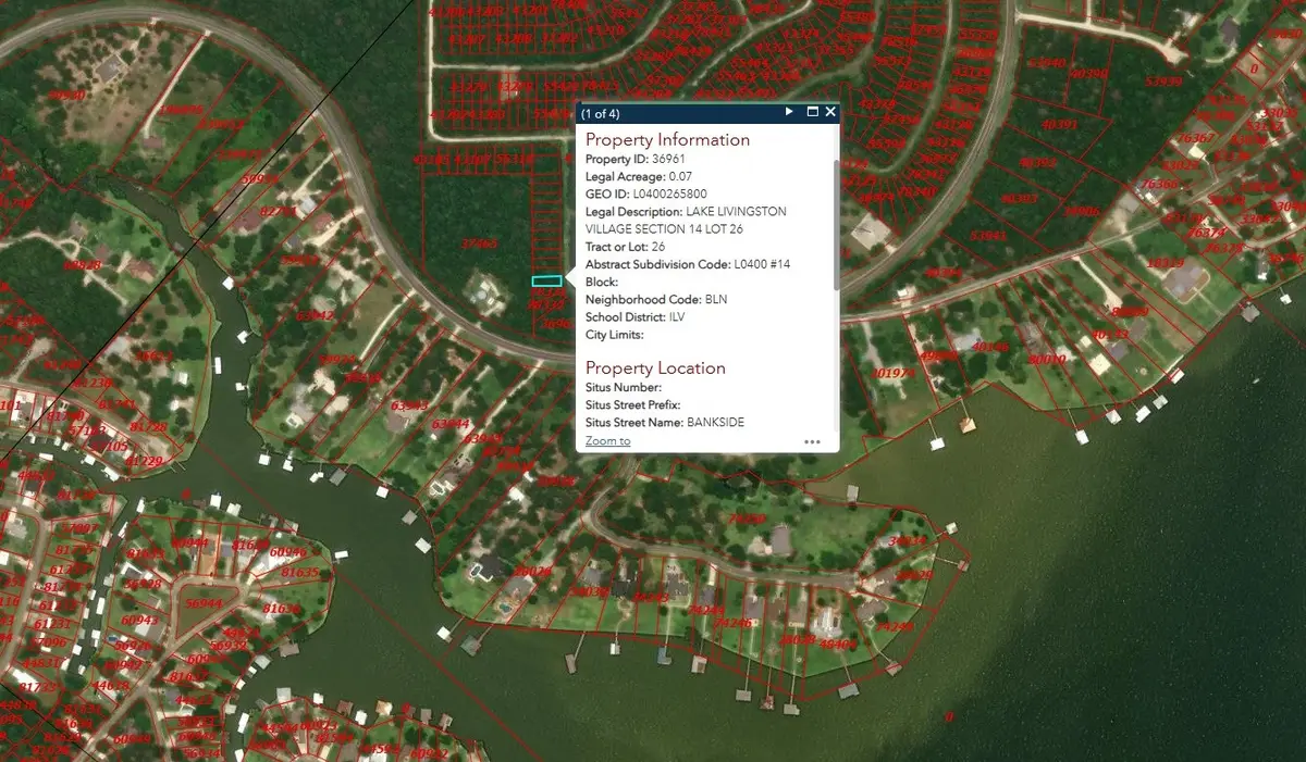 TBD Bank Side, Livingston, TX 77351 - Image #1