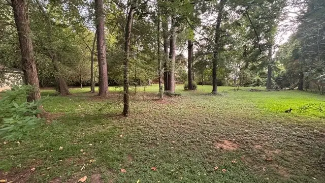 0 Woodland Manor, Willis, TX 77378 - #2