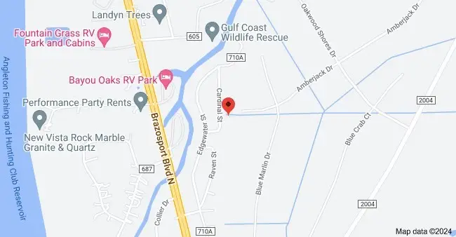 33235 Amberjack Drive, Richwood, TX 77515 - Image #2