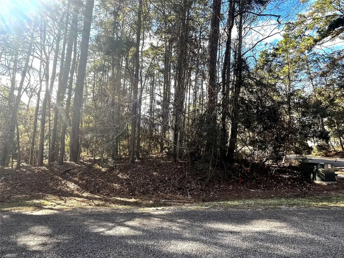 179 Green Tree Drive, Coldspring, TX 77331 - Image #1