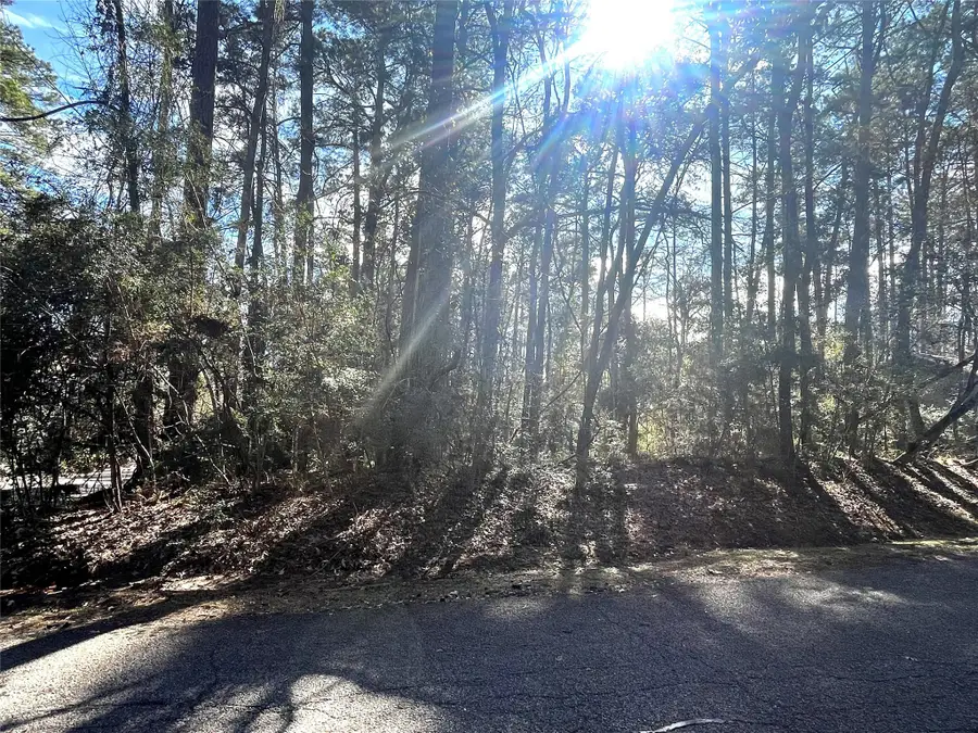 179 Green Tree Drive, Coldspring, TX 77331 - Image #2