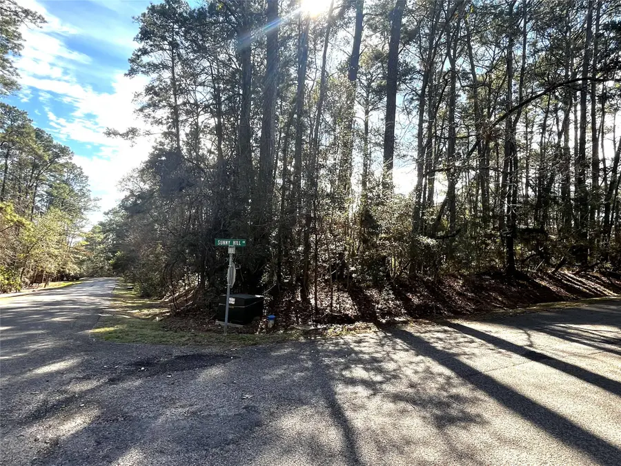 179 Green Tree Drive, Coldspring, TX 77331 - Image #3