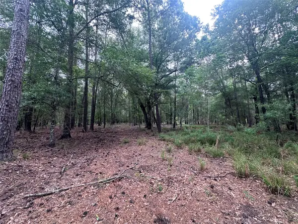 000 Fm 943, Livingston, TX 77351