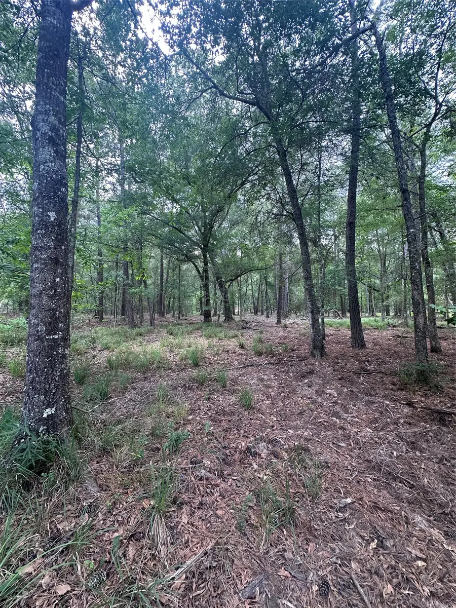 2518 Fm 943, Livingston, TX 77351 - #2
