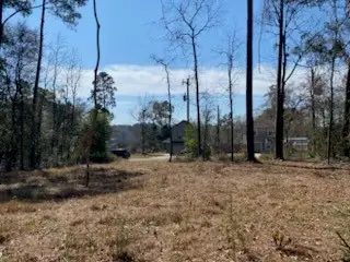 531 Mohawk Bend, Conroe, TX 77316 - #2