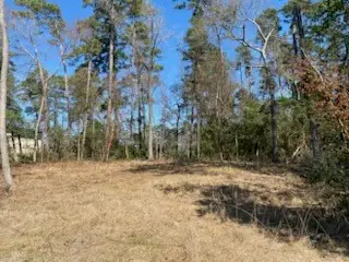 531 Mohawk Bend, Conroe, TX 77316 - #3