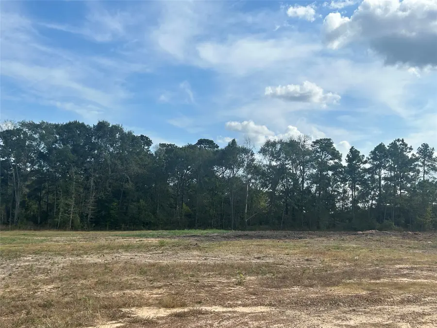 18074 Hill Road, Cleveland, TX 77328 - Image #3
