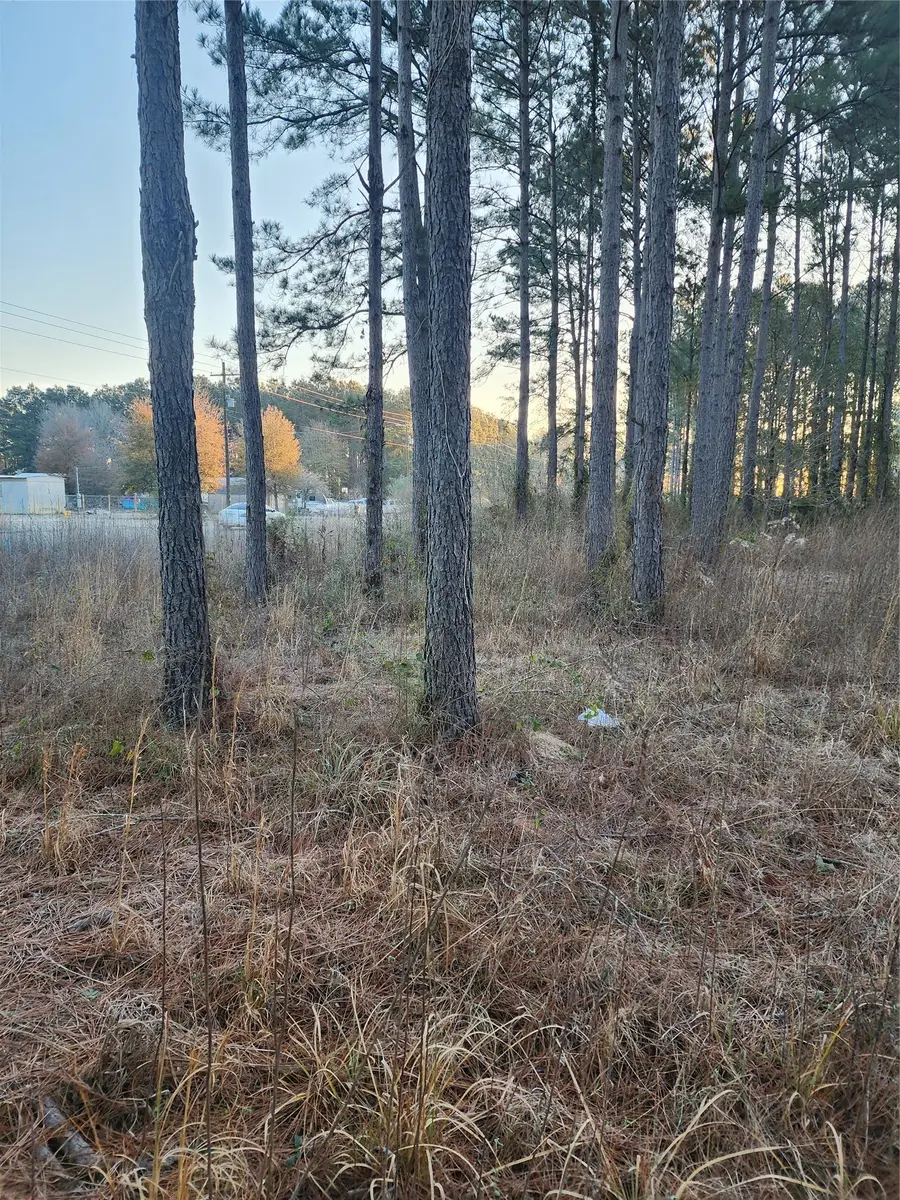 143 County Road 5003, Cleveland, TX 77327 - Image #2