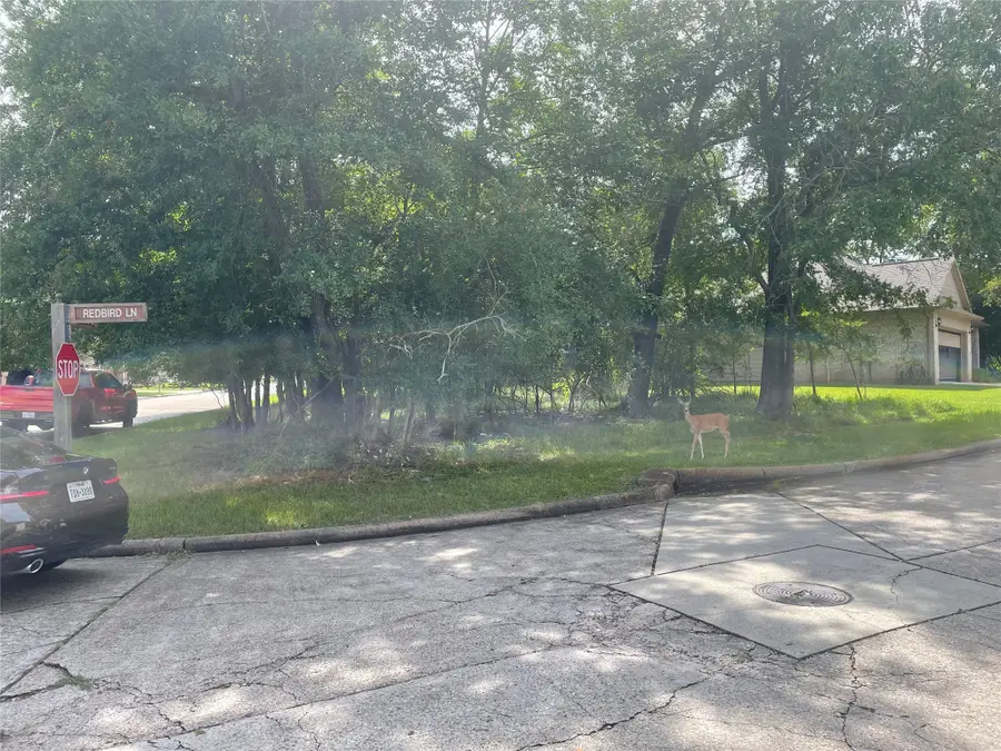 11623 Redbird Lane, Montgomery, TX 77356 - Image #2