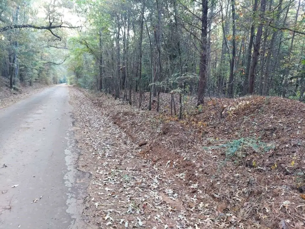 0 County Road 1587 Tr 3a, Avinger, TX 0 - Image #1