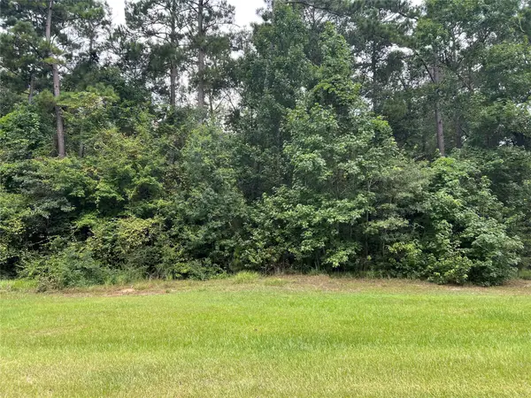 TBD Lure Lane, Livingston, TX 77351