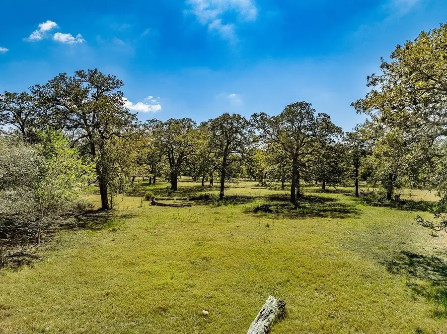 TBD O Quinn Branch Road, La Grange, TX 78945 - Image #3