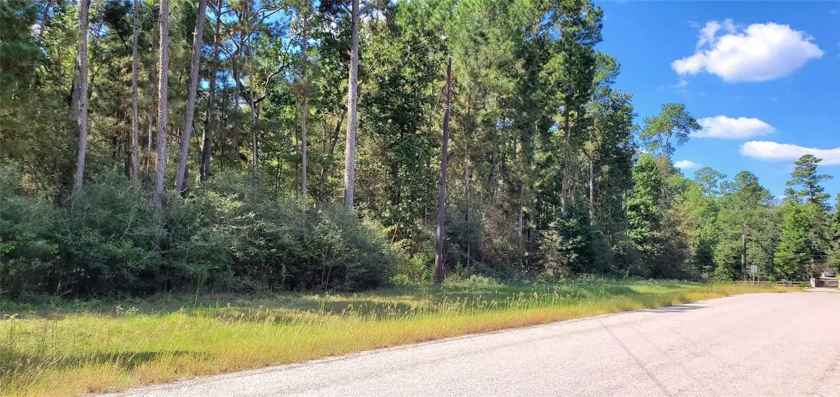 0 Cougar Court, Huntsville, TX 77340 - Image #1