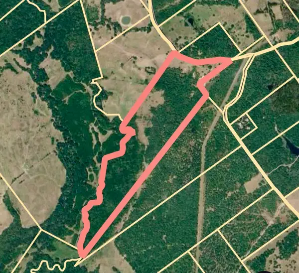 TBD Cr4120, Lovelady, TX 75851
