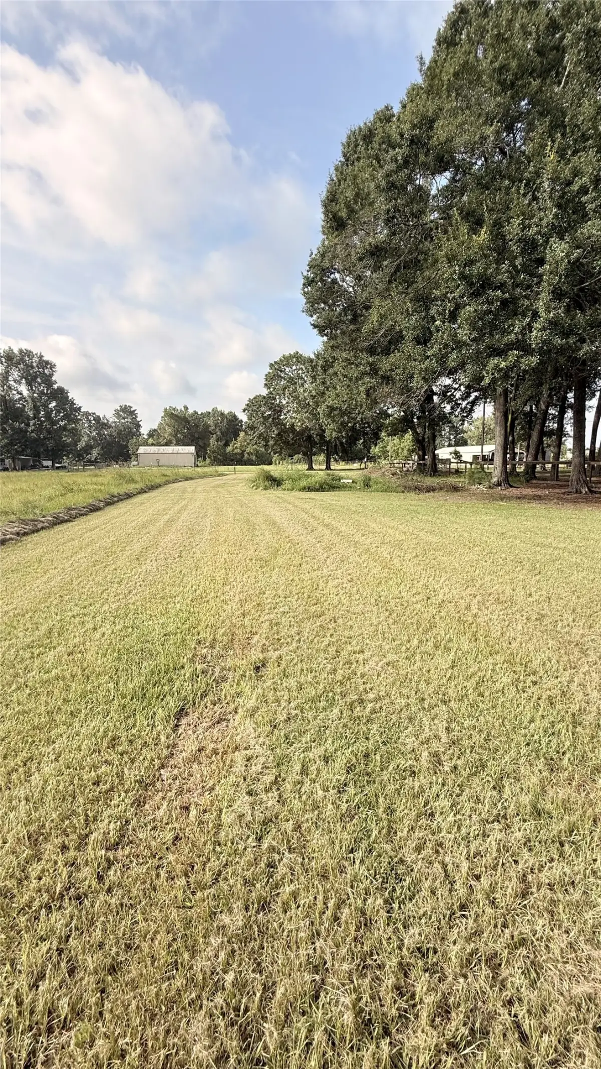 0 County Road 2198, Cleveland, TX 77327 - #1