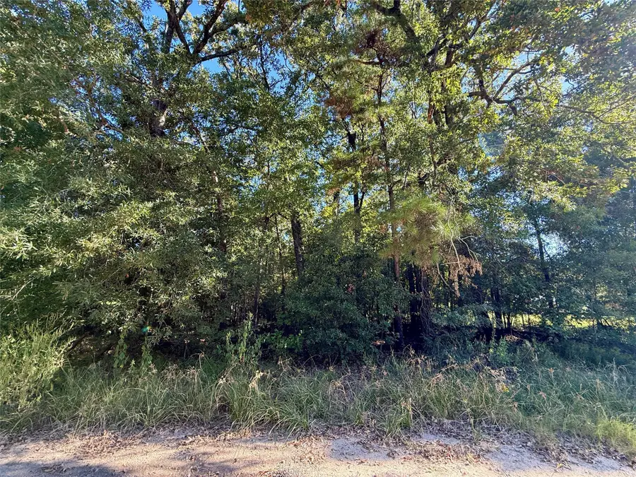 N/a Lot 85 Tomahawk Trail, Livingston, TX 77351 - Image #2